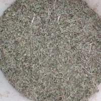 آویشن کوهی
