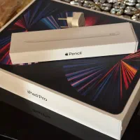 Ipad pro 12.9 cellular
