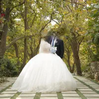 فروش لباس عروس مزون دوز سایز ۳۶و۳۸|لباس|تهران, تهرانسر شمالی|دیوار