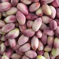 پسته دانه تازه فیض آباد کارتن شده 380 خوشه 175|عمده‌فروشی|تهران, افسریه شمالی|دیوار