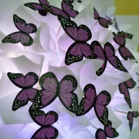 پروانه های رنگی با چراغ