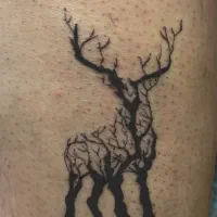 تاتو بدن با ۳۰ درصد تخفیف و بهترین متریال