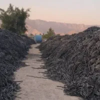 مرکز جمع آوری نوار. تیپ