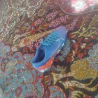 کفش صالن نونو بدون استفاده شدن