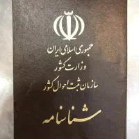 شناسنامه مدینه علیزاده فرزند غفار پیدا شده