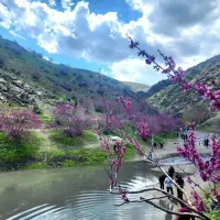 تور آفرودی با تخفیف ویژه