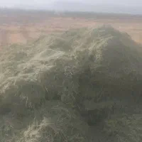 یونجه خشک انباری|لوازم جانبی حیوانات|شیراز, بعثت|دیوار