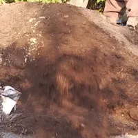 پخش  کود حیوانی  باغبانی|خدمات باغبانی و درختکاری|هشتگرد, تهران دشت|دیوار