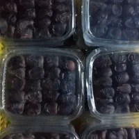 خرما مضافتی