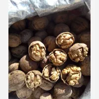 فروش گردو عالی