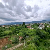 همسایه جنگل ودریا وکوه