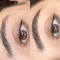 مدل شید لب،بن مژه،میکروبلیدینگ|خدمات آرایشگری و زیبایی|شیراز, شهرک ولیعصر|دیوار