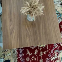 میز جلومبلی|مبلمان خانگی و میز عسلی|مینودشت, |دیوار