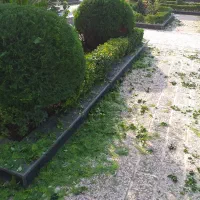 خدمات باغبانی|خدمات باغبانی و درختکاری|لاهیجان, کوی استادان|دیوار