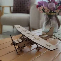 هواپیمای چوبی دکوری