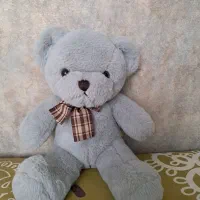 خرس پشمالوی اخمو