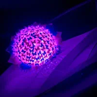 دسته گل کادویی یلدا چله لیخ تولد دیت سالگرد|صنایع دستی و سایر لوازم تزئینی|تبریز, |دیوار