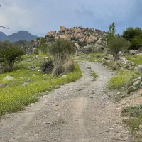 فروش زمین دلفارد