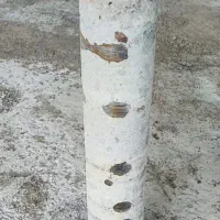 خدمات کرگیری، برش بتن|خدمات پیشه و مهارت|تهران, سازمان آب|دیوار