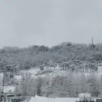 جویای کار نگهبانی ساختمان هستم 62سالمه