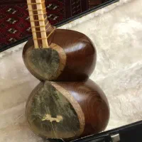 تار حرفه‌ای و قدیمی استاد فیروزفر ملایری