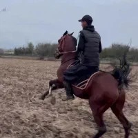 نریان دو سر کرد