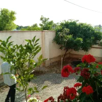 فروش-زمین265متری-مسکونی-سندداردرانزلی-طالب-اباد