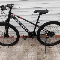 دوچرخه Gans roses