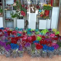 سرمایه گذاری با حقوق بالا|استخدام صنعتی، فنی، مهندسی|اراک, |دیوار