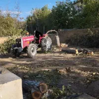 خرید چوب گردو و میوه