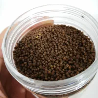 غذای ماهی گوشتخوار آکواریومی|ماهی|سرپل ذهاب, |دیوار