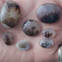 سنگ شجر اصل