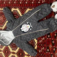 پاپوش|کفش و لباس بچه|مشهد, حجت|دیوار