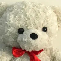 انواع عروسکهای کادویی نو - مناسب ولنتاین