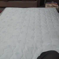 تشک لاوینجی