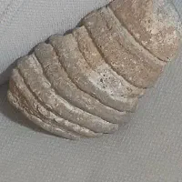 سنگ عتیقه|کلکسیون اشیاء عتیقه|رشت, شهرک آیت الله منتظری|دیوار