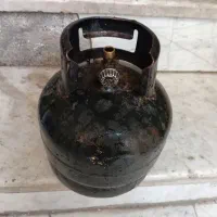 دو عدد پیک نیک|اجاق گاز و لوازم برقی پخت‌وپز|همدان, |دیوار