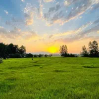 زمین-فروشی