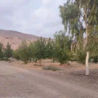 باغ شهری ۷۰۰ متری ویو دار