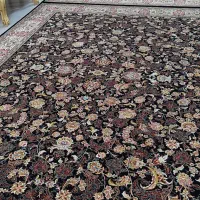 9متری پاتریس