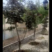 ویلا کرج معاوضه با گیلان|فروش زمین و ملک کلنگی|رشت, شهرک شهید مفتح|دیوار