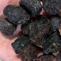 آلو سیاه محصول مراغه