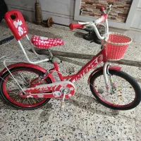 دوچرخه 20اینتنز
