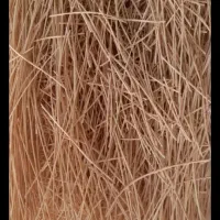 رشته پلوی