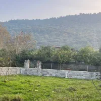 زمین-مسکونی-باجواز-235متر-روبه-جنگل-نجارده-نوشهر