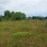 اجاره-سه-خوابه-دربست-محدوده-ساحل-طلایی