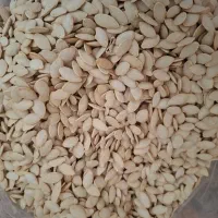 تخمه کدو گوشتی بوداده شده