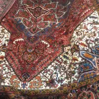 12 متری هریس بارماخ|فرش|تبریز, |دیوار