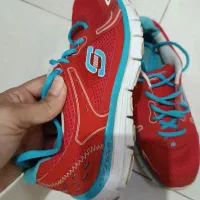 کتونی|کیف، کفش، کمربند|کن, |دیوار