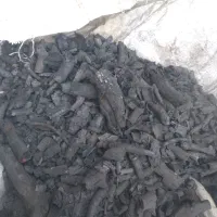 ذغ بلوط|عمدهفروشی|باغ ملک, |دیوار